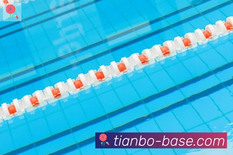 天博官网APP 封面图